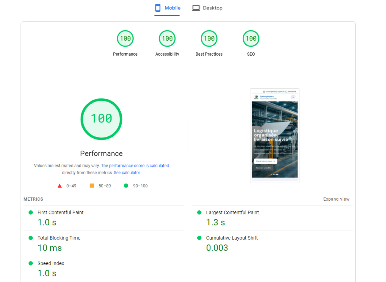 Capture PageSpeed Insights affichant un score de performance de 100 sur mobile